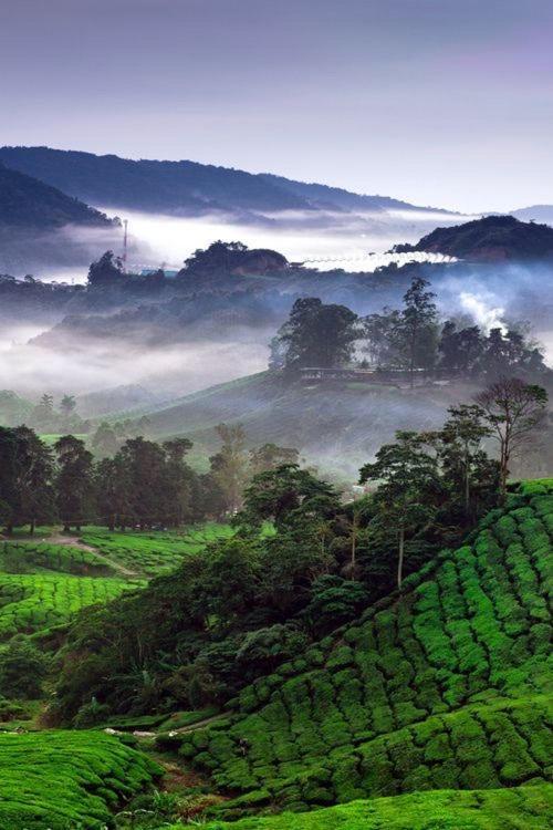 Ou Inn Cameron Highlands ,Ferm Nyonya Restaurant タナ・ラタ エクステリア 写真